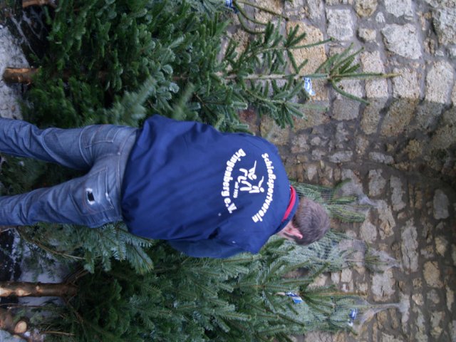 Weihnachtsbaumverkauf 2012